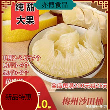 20斤梅州沙田柚金柚甜當季孕婦新鮮水果白柚子非廣西容縣10（預售