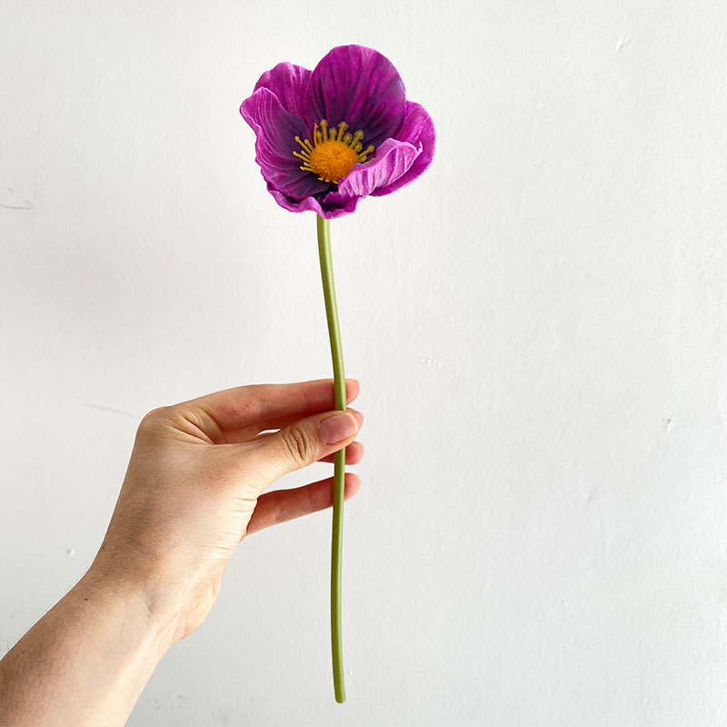 작은 단일 보라색
