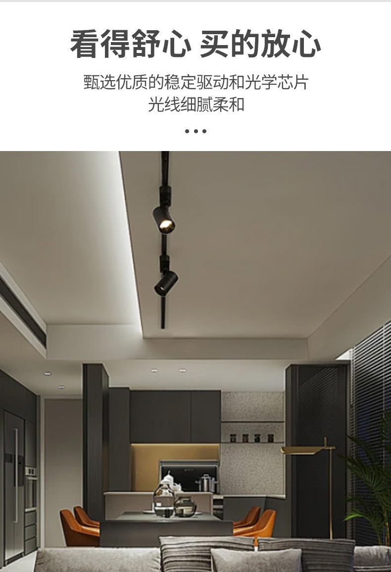 轨道射灯_07.jpg
