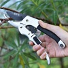 Imported Cut flowers gardening scissors Pruners trim branch scissors Scissors Fruit tree scissors Squid scissors