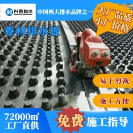排水板;工地施工材料;网格板