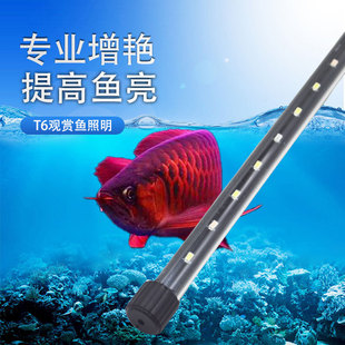 ˮ��LED�~�ן�ˮ��������쾰���G�^�p����������С�����~׃ɫ��