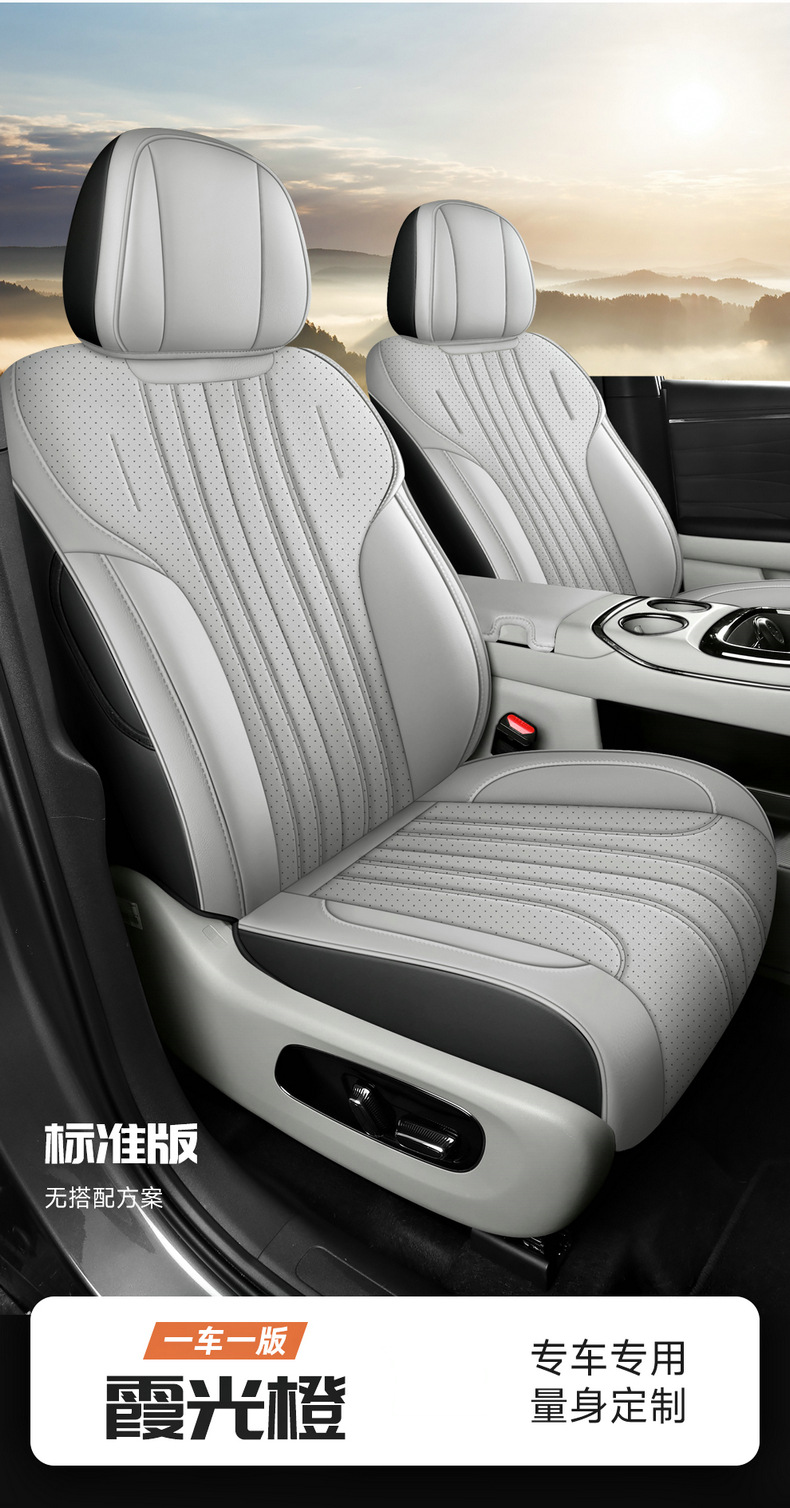 25 EAN V Tyrannosaurus Rex Special PLUS Car Seat Cover Four Seasons Universal Full Envelope Cushion Seat Cover Leather