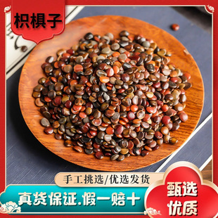 �ח���1000g��ș�ĬF؛���l��������؛�՗��������������ݾƸ�؛