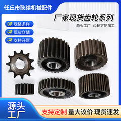 非標準工業用歯車 機械伝動部品歯車 竹木機械鍛造硬質歯面歯車
