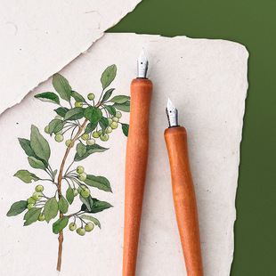 Dip Pen Pen Light Color Calligraphy Gouline Pen Painting Cartoon Wooden Rod Straight Rod Retro Art Ink Dip Pen