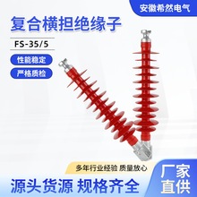 35KV�ͺϙM���^���� FS-35/5���߉������͸ߜ�֧���M���^����