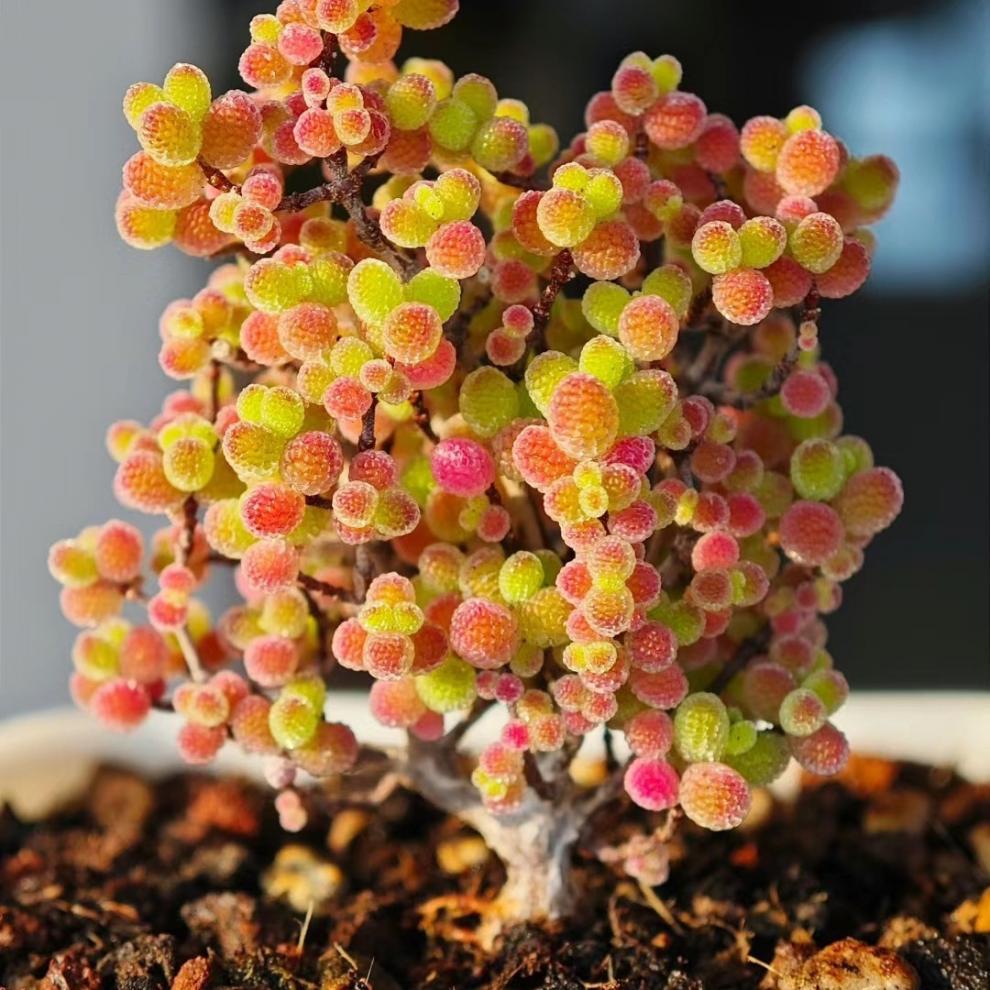 027da2f0-b522-4d4a-b97a-e46f16a43c9f.jpe