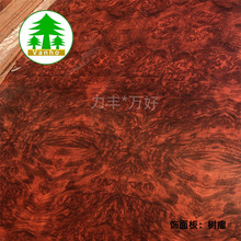 ��ľ���塿������ľ������ �b���bҾӼҾ��o������ �b���b