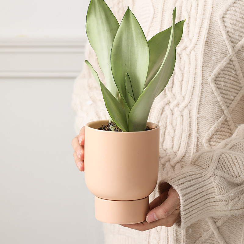 Oficina de escritorio doméstica maceta multicarne pequeña planta de orquídea mariposa planta verde maceta de cerámica con bandeja transfronteriza