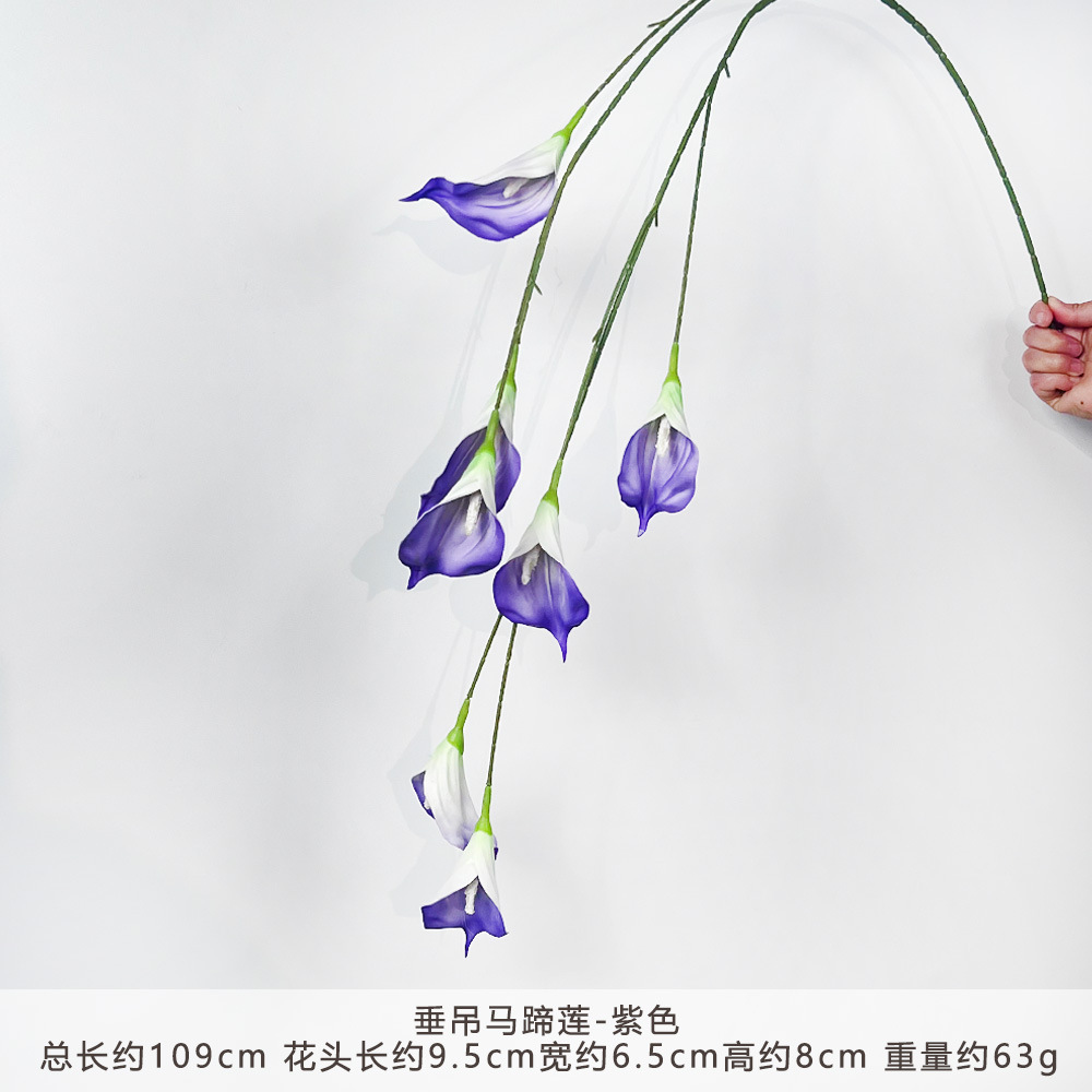 KR-垂吊马蹄莲-紫色