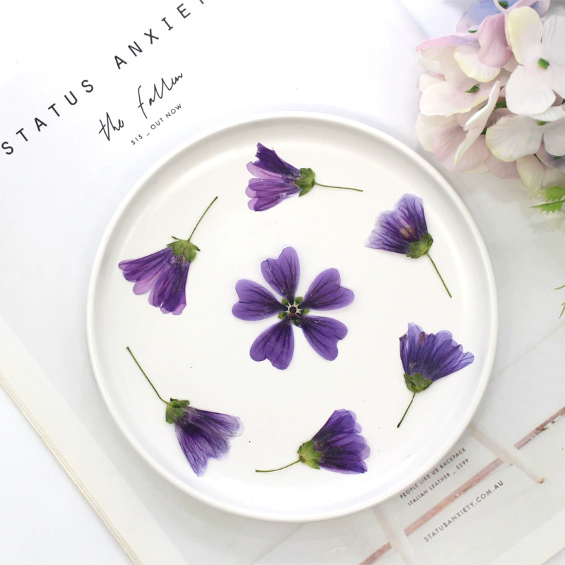 Мальва настоящая сушеная тисненая образец растения DIY фоторамка закладка/маникюр для макияжа ароматизированная свеча материал для упаковки