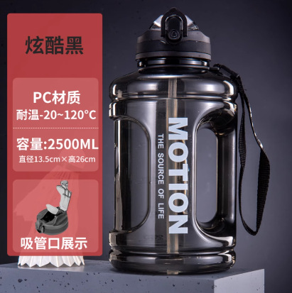 大容量水杯吨吨杯吸管塑料杯耐高温大肚杯子运动水壶吨吨桶