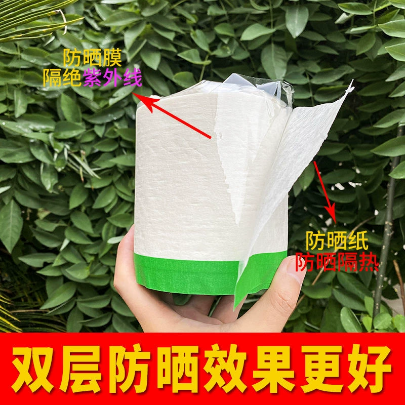 Наклейки для защиты от солнца с цитрусовыми, наклейки с солнечными фруктами, бумага для защиты от солнца с фруктами, наклейки для защиты от солнца с цитрусовыми, защита от дождя с фруктами и солнцезащитный козырек