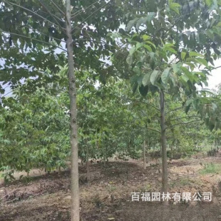 �������l ϲ�� ��� ���ԃ��݃r�� �@�־��^�G����ľ�е���