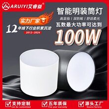 led明装筒灯 大功率射灯100W80W高铁机场COB免开孔吸顶式筒射灯