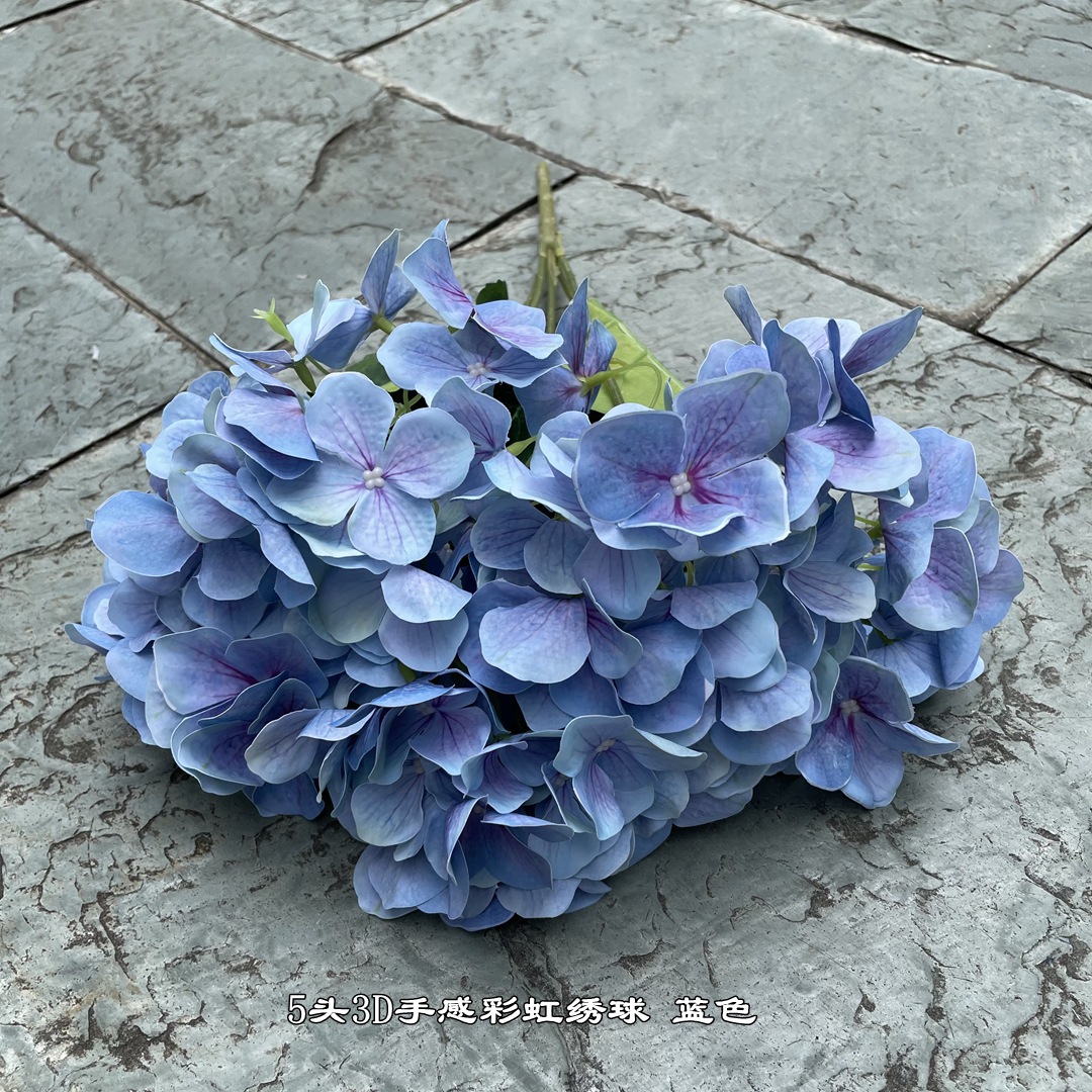 10 #5 cabeza 3D sentir Rainbow Hortensia azul