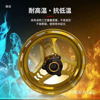Motorcycle wheel hub: electric vehicle front wheel hub