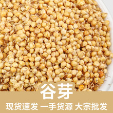 lɢbșĹѿҎȫăF؛raƷѿСѿa؛