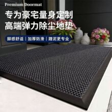 高级感别墅入户门地垫家用大门口弹力网地垫室外防滑刮泥脚垫批发