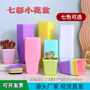 ���϶��⻨���ɫ�Ӻ�С�ʷ���ʷ��ڷ��҃��̨�Nֲֲ��Ǥ������