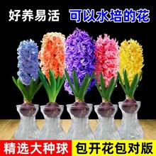 LӷNˮ໨܎ѿBֲ̨҃