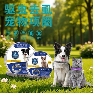 �F؛2���b������x�Ȧ�羳���u�������ʭ���w����x�����Ȧ