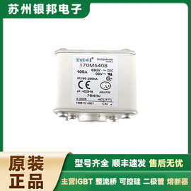 供应全新 170M3966 170M3967 170M3968 低压快速熔断器