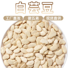 徽五弟农家自种白芸豆京豆大白豆源头工厂大货批发多品零售白豆