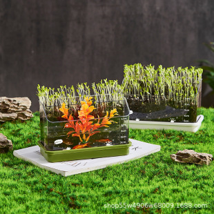 �๦���p�ӷNֲС����С�r���lѿСֲ������С�r����ϵ���L�^�촰