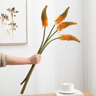 ���檚β�ݺ�β�ٺϻ����滨�ҾӲ廨��ˇ��������b�滨�ٻ�