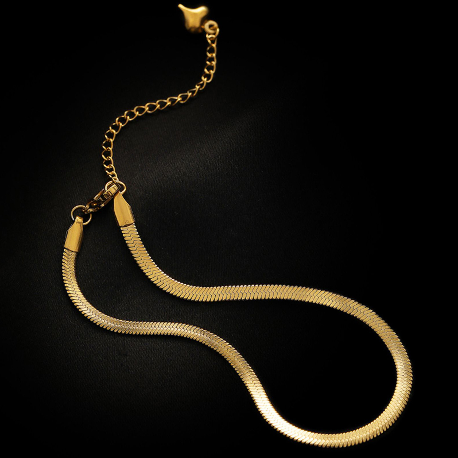 Transfronterizos Europa y América simple y exquisita cadena de hueso de serpiente versátil nueva cadena de tobillas de acero de titanio de moda femenina temperamento dorado cadena de pies de verano