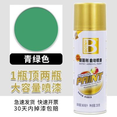 Various Colors Bright Black Silver — Avtomobil boyası - baocili-27-green-450ml