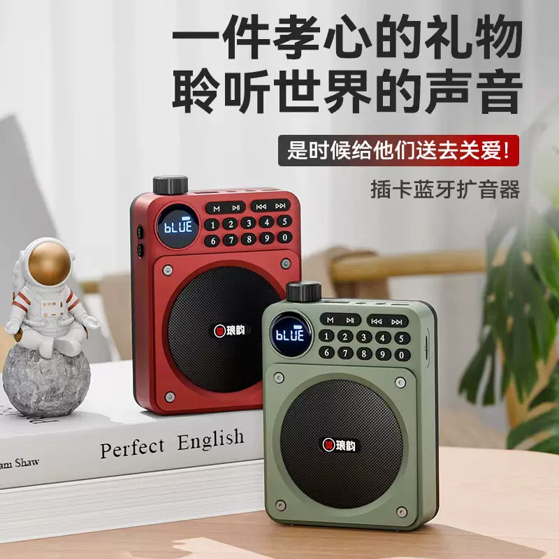 琅韵C65蓝牙收音机大音量老年人插卡户外多功能便携播放器扩音器