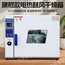 电热鼓风干燥箱实验室调温高温烘干箱烘箱恒温工业烤箱工业用