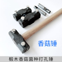 ���N�ľ�㹽����N�c�N�Nֲ�p�^������ֹ��F���^�˽�ʯ���N