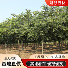 �Θ�e��·߅���ͥԺ�����ͺ������L���䅲���G���е���t�Θ���