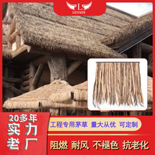 �S��ֱ�NPE����é���� �������ϵ�������b� ������ّ���ë�݂�