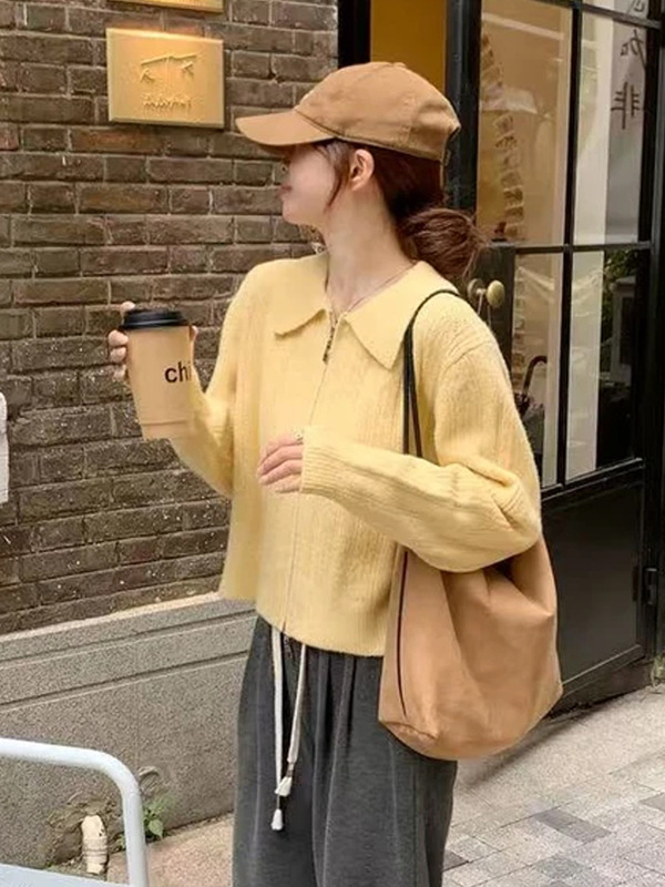 法式复古拉链翻领毛衣外套女秋季穿搭奶呼呼软糯宽松针织开衫上衣|undefined