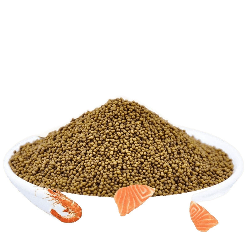 Turtle turtle grain special grain seedlings open grain, small turtle turtle turtles Brazilian turtle turtle little turtle feed universal