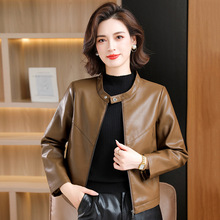 时尚魅力春秋立领pu皮衣短外套女2025新款秋冬款大码显瘦机车皮衣