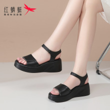 红蜻蜓女士厚底坡跟松糕凉鞋女款2024新款夏季夏天真皮软牛皮妈妈