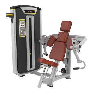 Baudelong biceps trainer BS-006