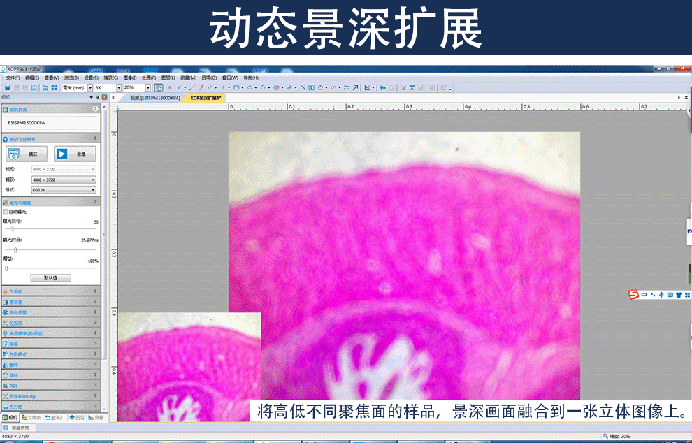 详情15-4.gif