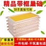 成品养蜂带框精品巢础