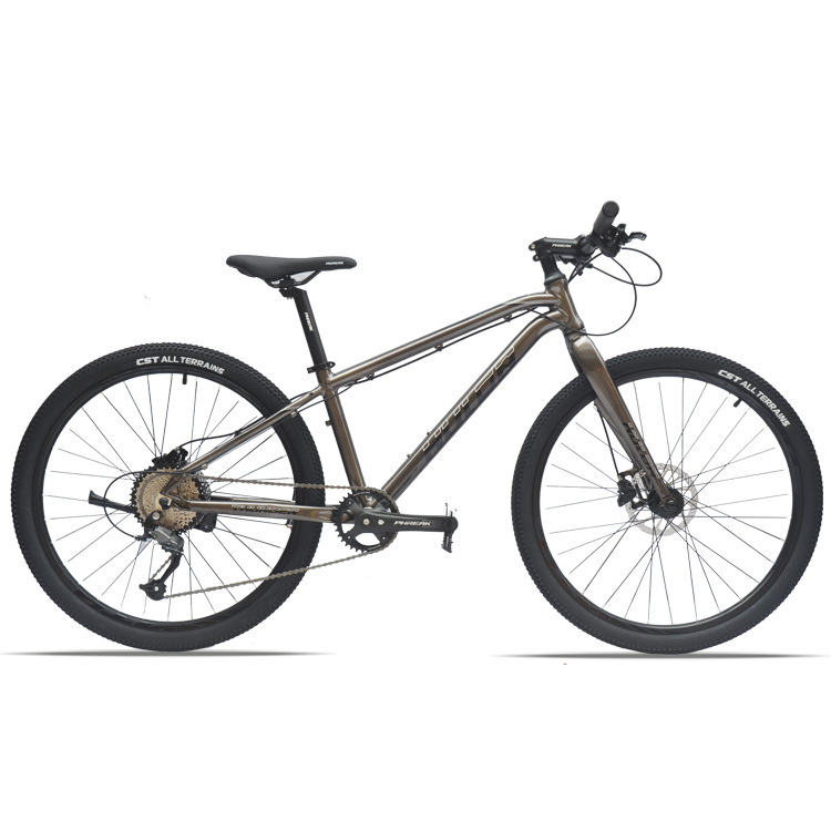 Hulda 26inch Retin Flat Handlebar Road Mountain Bike 9-Speed City Hydraulic Disc Brake Mountain Bike Hulda 26inch Retin Flat Handlebar Road Mountain Bike 9-Speed City Hydraulic Disc Brake Mountain Bike