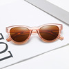 Retro brand sunglasses, 2021 collection, European style