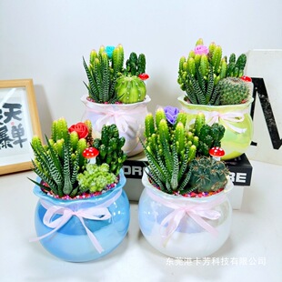 ��ݗ�������������ļ����B�҃��k�����_������ȩ����ֲ��