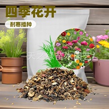 ļҰMϷN_ղݵ·^׻NѸɣݻ