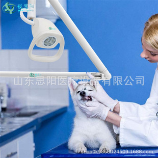 Medical Surgical Light Cold Light Vertical Shadowless Light Export Type Product Led Oral Floor Inspection Reflective Light